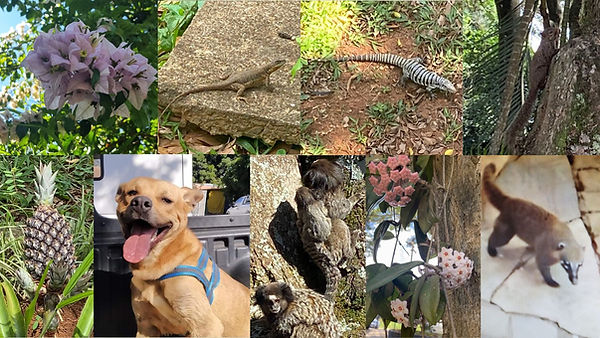 OMEA 2024 - vídeo apresentação (3).jpg