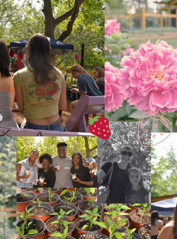 Screenshot 2025-04-08 135320