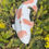 Thumbnail: Hand cast Koi fish pond or garden ornament