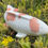 Thumbnail: Hand cast Koi fish pond or garden ornament