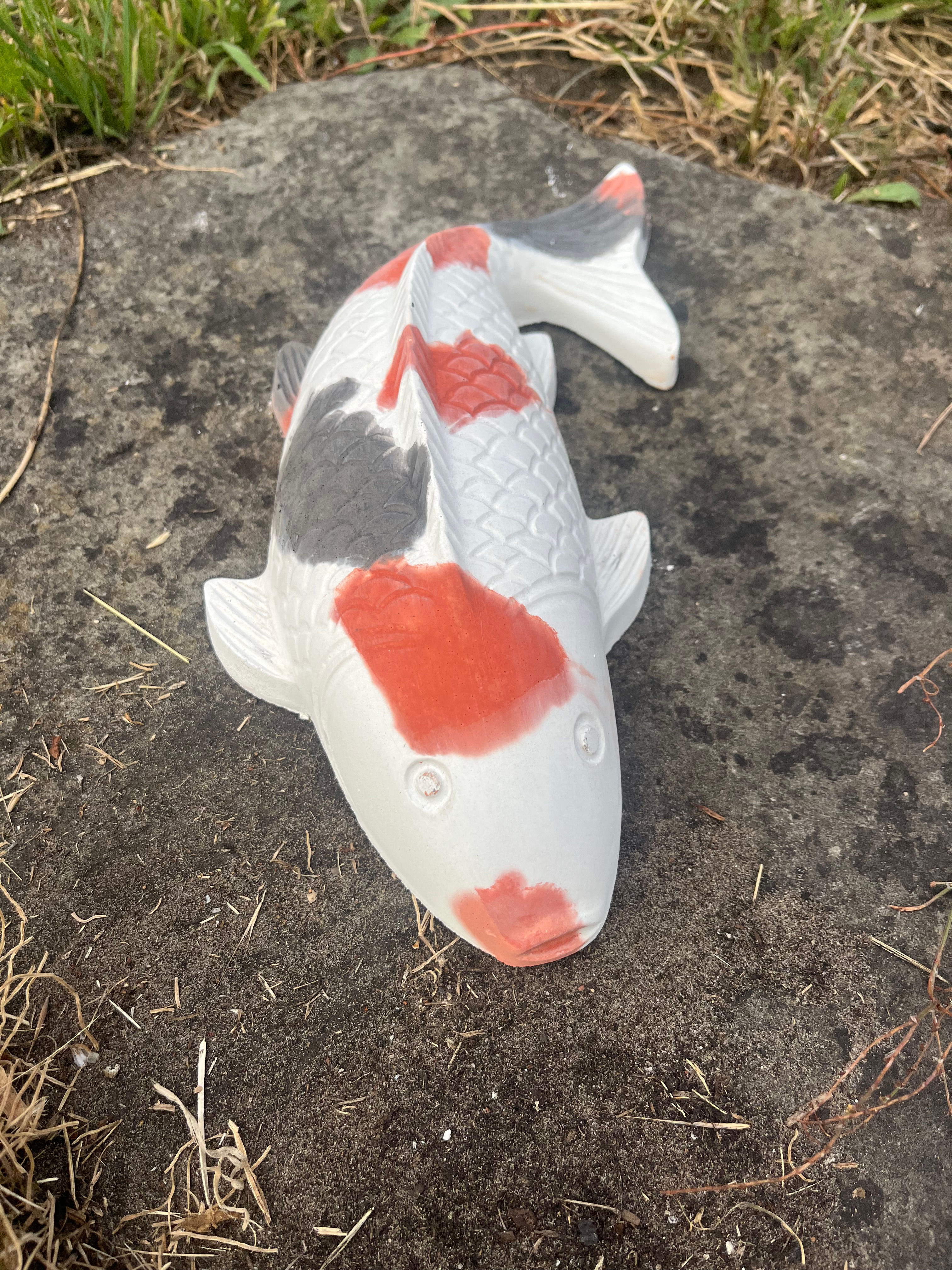Hand cast Koi fish pond or garden ornament