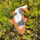 Thumbnail: Hand cast Koi fish pond or garden ornament