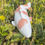Thumbnail: Hand cast Koi fish pond or garden ornament