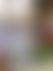 青森県藤崎町・常盤地域で「ねぷた」制作中！！