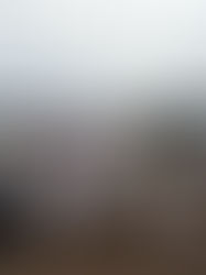 令和５年７月１日（土）　朝野球大会　１２戦目！！