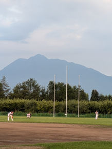 第50回藤崎町朝野球大会　朝野球代表決定戦！！