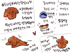 뽀삐관찰일지.png