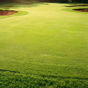 Clipping Removal & Yard Cleanup