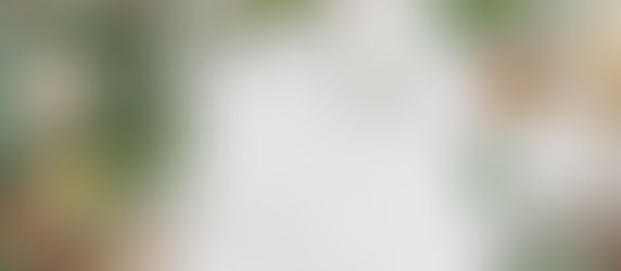 Herboristerie & plantes médicinales 