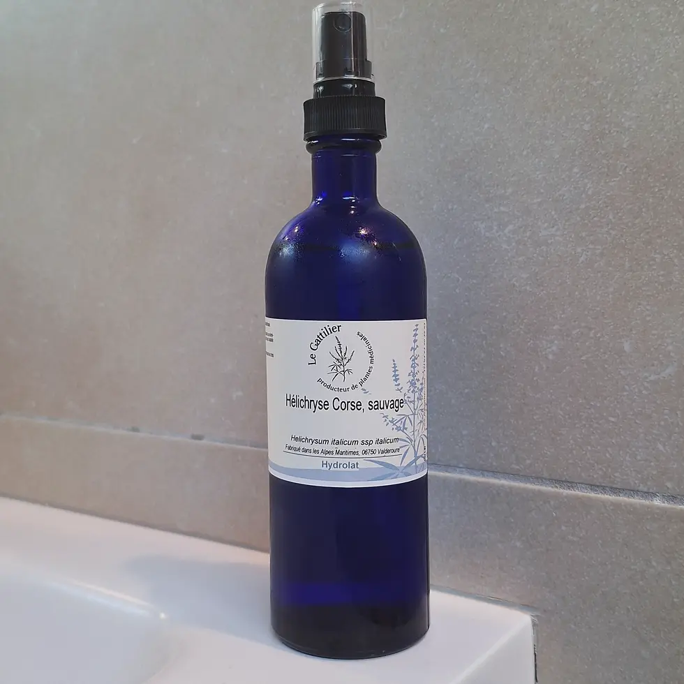 Acné rosacée, couperose : les bienfaits de l'Hélichryse corse sauvage