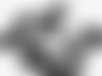 Family Portrait Photographer Breathtaking Family Portrait Photography Session $199