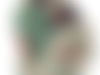 Maternity photographer in NYC $299