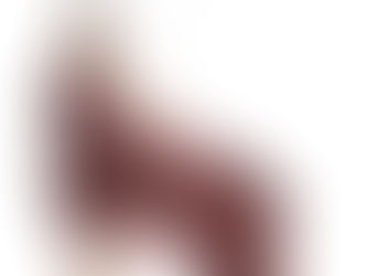 Maternity photoshoot, maternity Photographer, Pregnancy Photography, Creative Maternity Photos, $299 1-hour maternity photography session in New York City