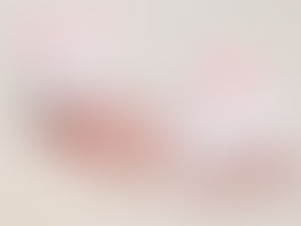 Newborn Photographer 2 hours newborn photography session $399