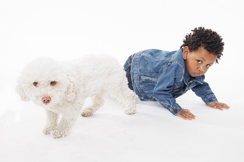 Portrait Photography Session, Family portrait photographer, $199 1 Hour Family portrait photography session