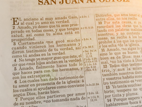 Al Muy Amado Gaio