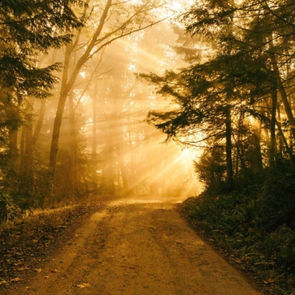 Los caminos y planes de Dios