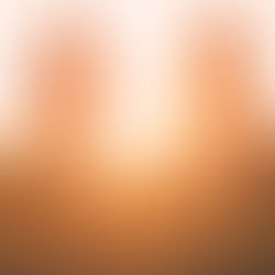 Ateneo: Noviazgo y el Matrimonio