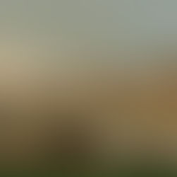 Estudio sobre el libro del profeta: NAHUM