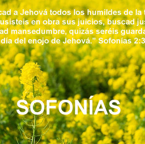 Estudio sobre el libro del profeta Sofonías