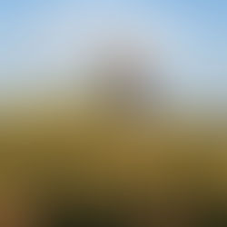 ¿Qué dice La Biblia acerca del Trabajo?