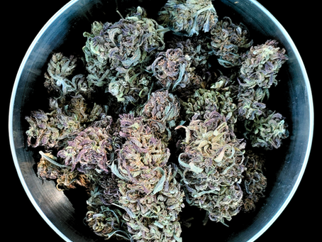 🌾 Sweet Lavender – La fleur CBD qui respire le calme