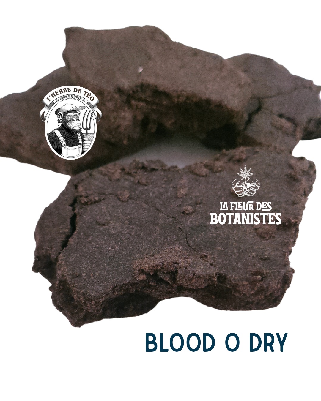 Collab X l'herbe de Téo