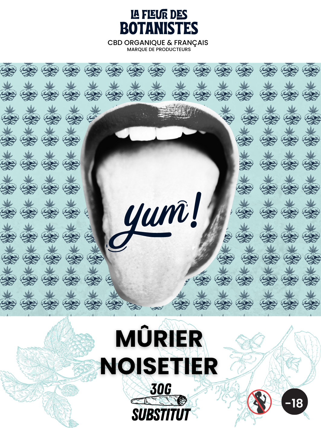 Substitut Mûrier Noisetier