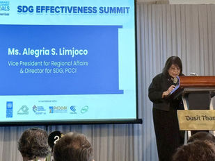 SDG Effectiveness Summit