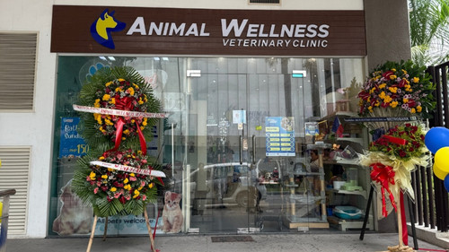 Wellness All Pets Veterinary Medical Center ANIMAL WELLNESS