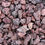 Thumbnail: Burgundy Lava Rock