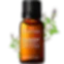 ree