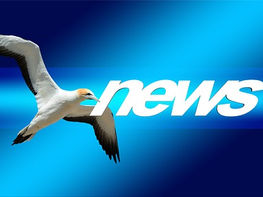 Assistenza primaria. Come funziona in Germania, UK, Francia, Spagna, Svezia e Italia.