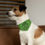 Thumbnail: Happy Pawlidays Pet Bandana Collar in Green
