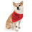 Thumbnail: Happy Pawlidays Pet Bandana Collar in Red
