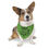 Thumbnail: Happy Pawlidays Pet Bandana Collar in Green