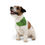 Thumbnail: Happy Pawlidays Pet Bandana Collar in Green