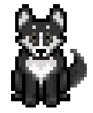 Gremlin the Office Dog of ARCTIC PIXELS