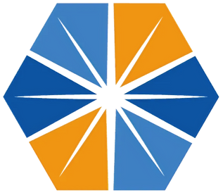 NSG logo 2_edited_edited.png