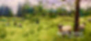 website_masthead.jpg