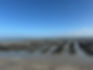 IMG_5968.jpeg