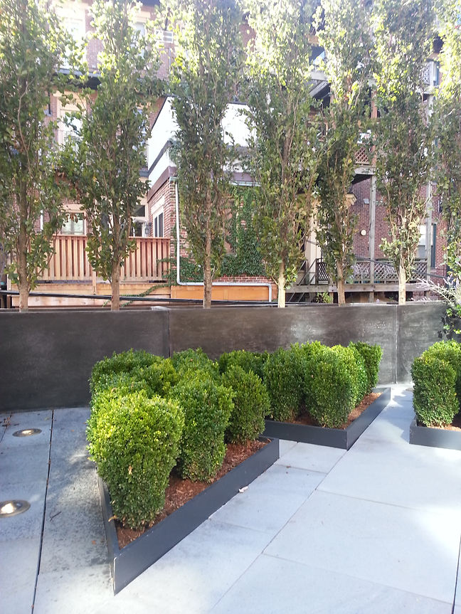 20131003_141539.jpg