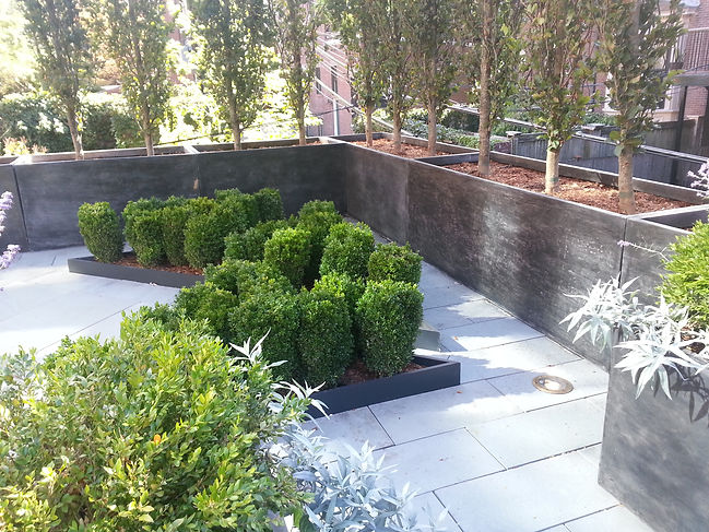 20131003_141526.jpg