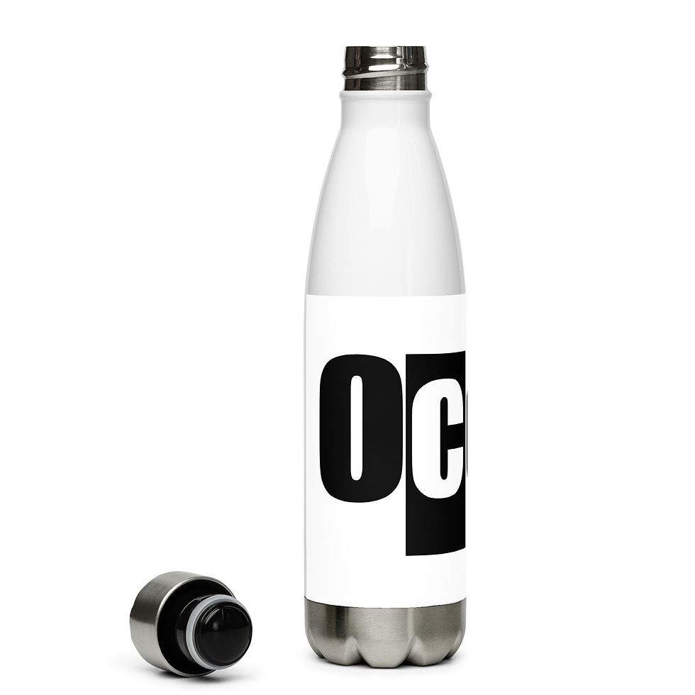 Thumbnail: Stainless Steel Water Bottle