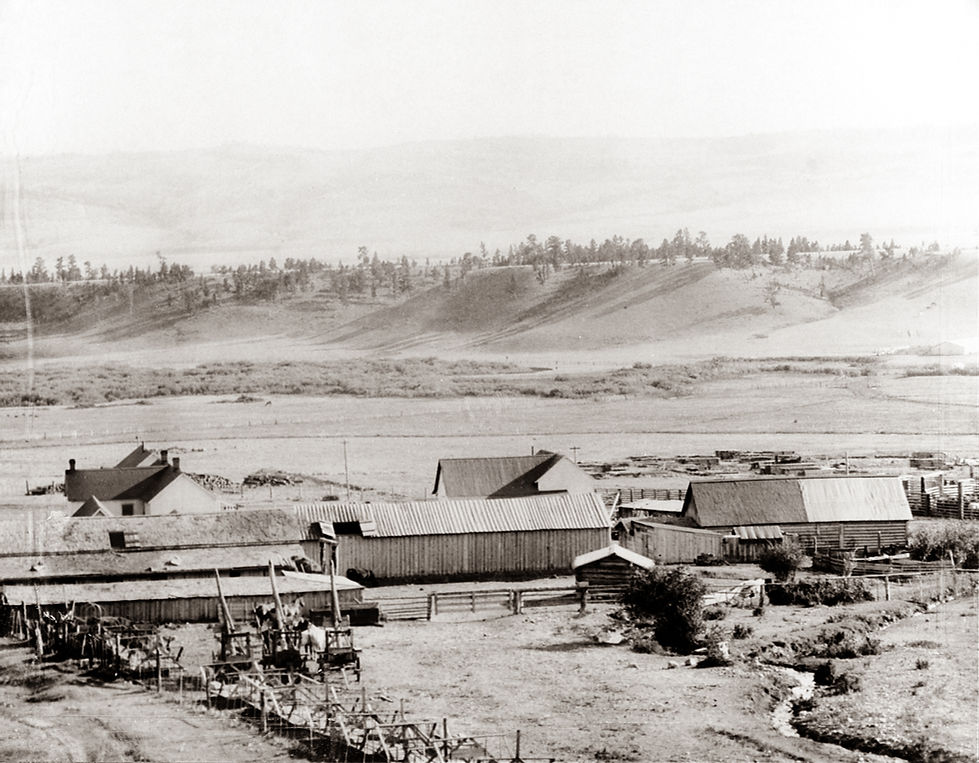 AA001.jpg