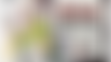 The Federal Trade Commission (FTC) Web Site On What To Do When You Receive Robo-Calls