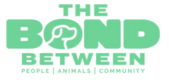 bbt.png