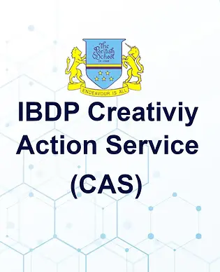 IBDP Creativity Action Service.webp