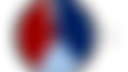 Not So Partisan But Still Controversial