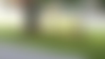 On Venezuelan War & Peace